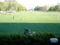 People playing in the park